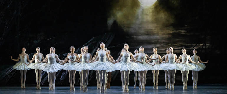 Swan_lake_l